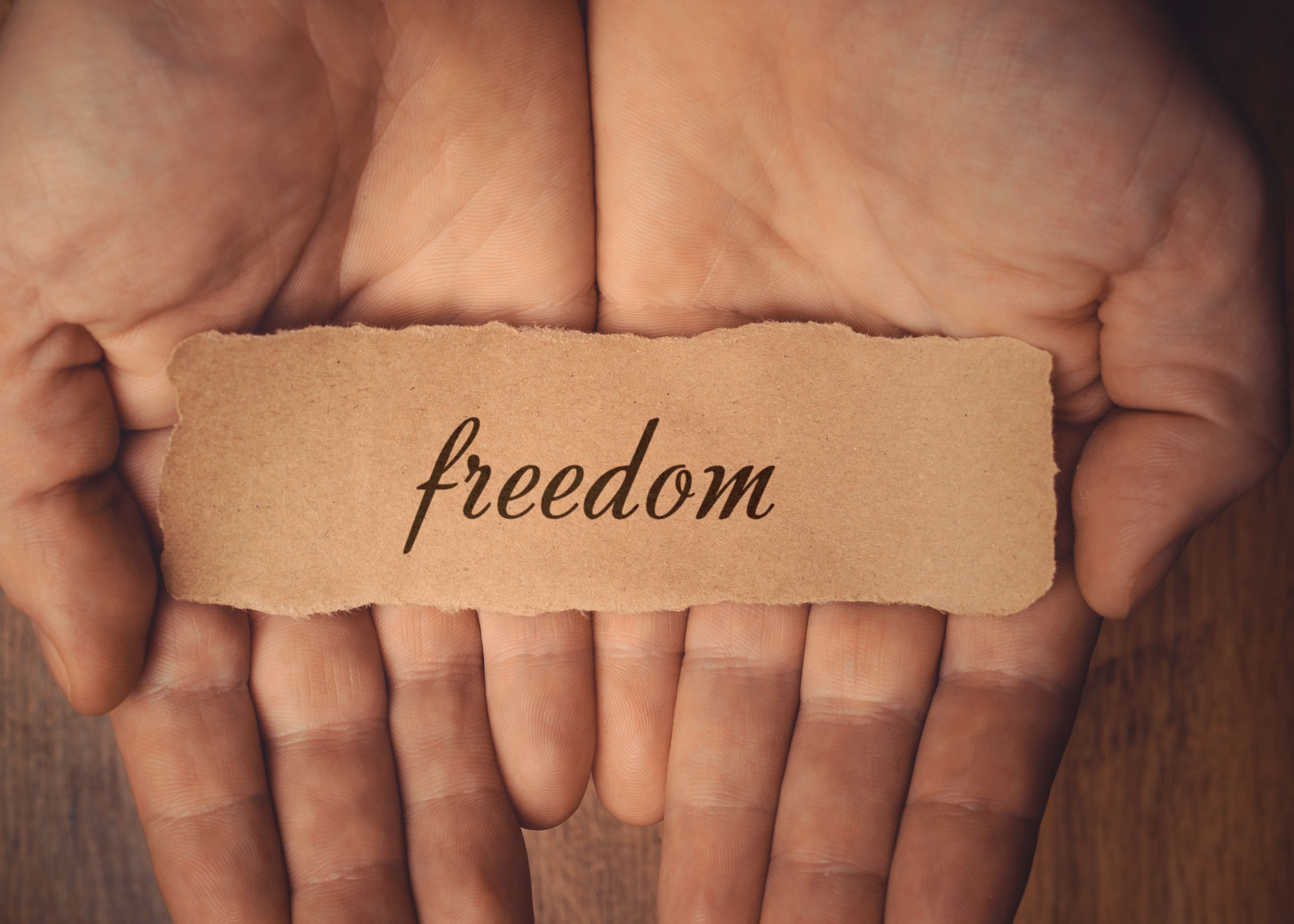 Adult (Married & Single) | All ages | Freedom Group | Todd Anglin